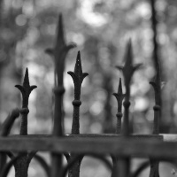 Alter Friedhof Riga