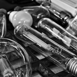 Fotowalk EVO und Boxclub Nordend 2019