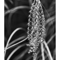 Robert S - Fotowalk Vivarium Zoo Darmstadt mit FOP