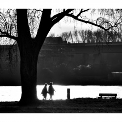 Robert S - Fotowalk in Wiesbaden mit FOP