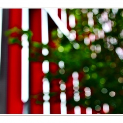 Fotowalk Frankfurt Europaviertel 2019